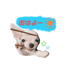 幸太郎(コタロウ)スタンプ（個別スタンプ：1）