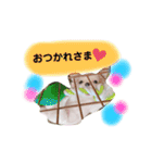 幸太郎(コタロウ)スタンプ（個別スタンプ：7）