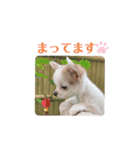 幸太郎(コタロウ)スタンプ（個別スタンプ：28）