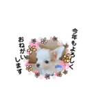 幸太郎(コタロウ)スタンプ（個別スタンプ：40）