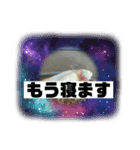 ウーパールーパー挨拶だお（個別スタンプ：7）