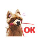 ポメラニアン犬 蘭丸くん 第二弾（個別スタンプ：5）