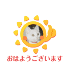 Pちゃんとはっちゃん（個別スタンプ：1）