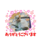 Pちゃんとはっちゃん（個別スタンプ：5）