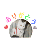 Pちゃんとはっちゃん（個別スタンプ：6）