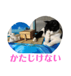 Pちゃんとはっちゃん（個別スタンプ：8）