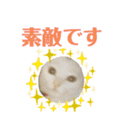 Pちゃんとはっちゃん（個別スタンプ：10）