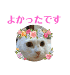 Pちゃんとはっちゃん（個別スタンプ：12）