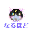 Pちゃんとはっちゃん（個別スタンプ：16）