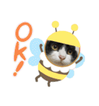 Pちゃんとはっちゃん（個別スタンプ：21）