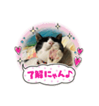 Pちゃんとはっちゃん（個別スタンプ：23）