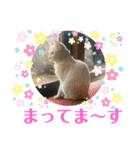 Pちゃんとはっちゃん（個別スタンプ：24）