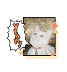 Pちゃんとはっちゃん（個別スタンプ：27）