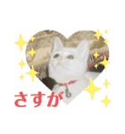 Pちゃんとはっちゃん（個別スタンプ：28）