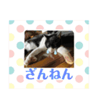 Pちゃんとはっちゃん（個別スタンプ：31）