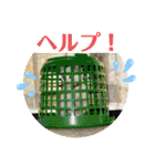 Pちゃんとはっちゃん（個別スタンプ：33）