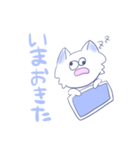 らりねこ（個別スタンプ：21）