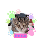 あじゃあじゃ（個別スタンプ：2）