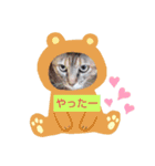 あじゃあじゃ（個別スタンプ：6）