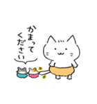 かぼちゃパンツのねこちゃん。（個別スタンプ：12）