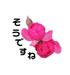 yasuおばさんの薔薇言葉 R3-4（個別スタンプ：30）