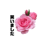 yasuおばさんの薔薇言葉 R3-4（個別スタンプ：32）
