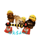Babyわんこの日常2（個別スタンプ：1）