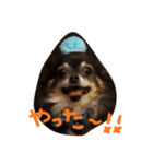 Babyわんこの日常2（個別スタンプ：18）