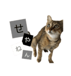 おわぞうすたんぷ（個別スタンプ：8）