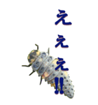 テントウムシ2からーBIG（個別スタンプ：11）