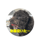 わたしのワンコシリーズ2（個別スタンプ：7）