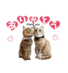 モモ＆レモン♪（個別スタンプ：11）