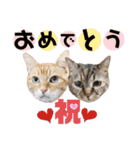 モモ＆レモン♪（個別スタンプ：39）