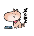 かわいい顔してうざい犬（個別スタンプ：1）