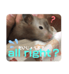 我が家の可愛い大家族 (第4弾)女子チーム（個別スタンプ：5）