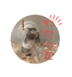 我が家の可愛い大家族 (第4弾)女子チーム（個別スタンプ：18）