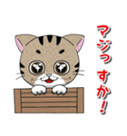 タクティカルにゃんこ_#3（個別スタンプ：16）