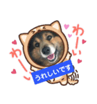 R＆G猫犬レスキュースタンプ（個別スタンプ：12）