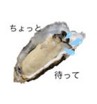 THE 牡蠣（個別スタンプ：14）