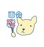 入院ねこ（個別スタンプ：13）