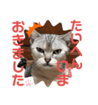 うちのこビビ（個別スタンプ：20）