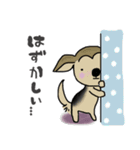 犬猫の愉快な仲間達 よく使う日常スタンプ（個別スタンプ：21）