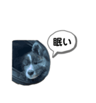 スタンプ104（個別スタンプ：2）