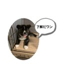スタンプ104（個別スタンプ：13）