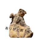 スコのちーちゃん1（個別スタンプ：8）