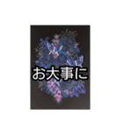 花と魚のメッセージスタンプ（個別スタンプ：14）