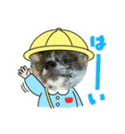 秋田犬はじめくん（個別スタンプ：5）