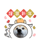 柴犬ももpart4（個別スタンプ：2）