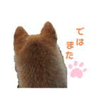 柴犬ももpart4（個別スタンプ：32）