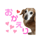 れおんちゃんスタンプ①（個別スタンプ：8）
